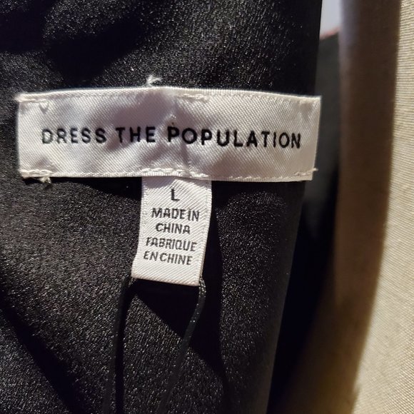 NWT Dress The Population A Line, fitted bodice cocktail length dress - Picture 8 of 12